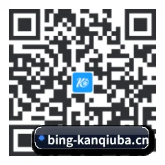 系统版 iOS 二维码